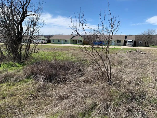 a view of a yard with some trees