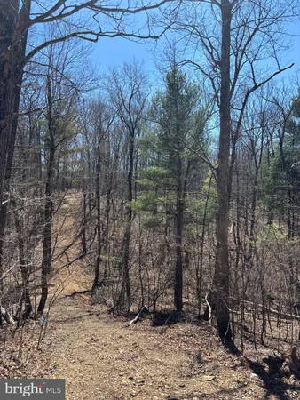 $129,000 | Lot 8-a & 8b Reynolds Road, Cross Junction, VA 22625