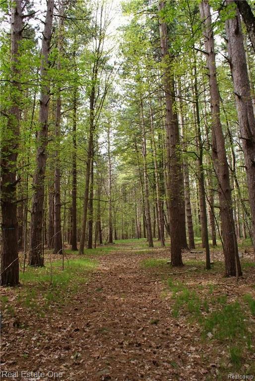 2 McKeen Lake Road Columbiaville, MI 48421 - Photo 27 of 51