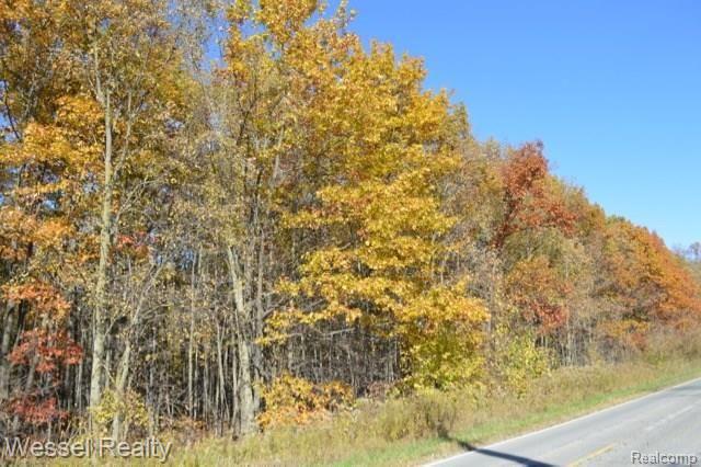 0 Smiths Creek Road Goodells, MI 48027 - Photo 4 of 9