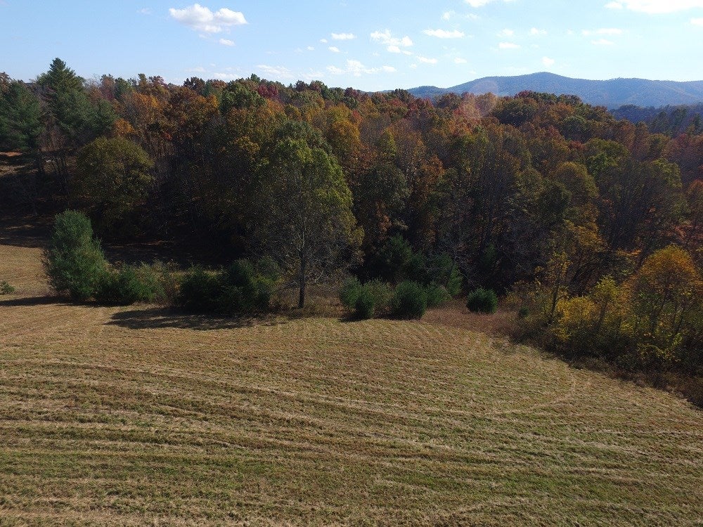 870 Pleasant Grove Road Independence, VA 24348 - Photo 38 of 42 Gallery Image 38