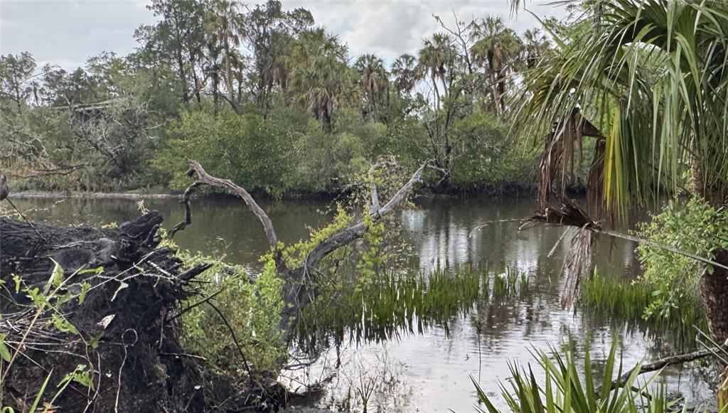 a backyard of a house with lots of green space and lake view