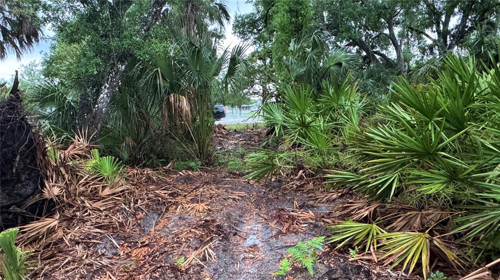 12817 Upper Manatee River Road Bradenton, FL 34212 - Photo 11 of 17 a view of outdoor space and a yard