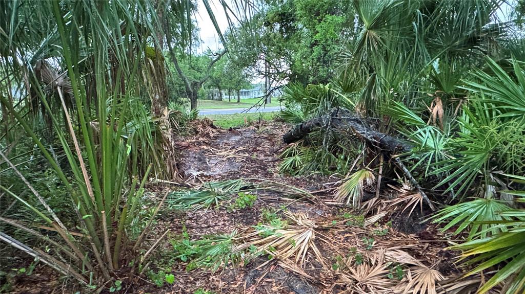12817 Upper Manatee River Road Bradenton, FL 34212 - Photo 9 of 17 a view of outdoor space and a yard