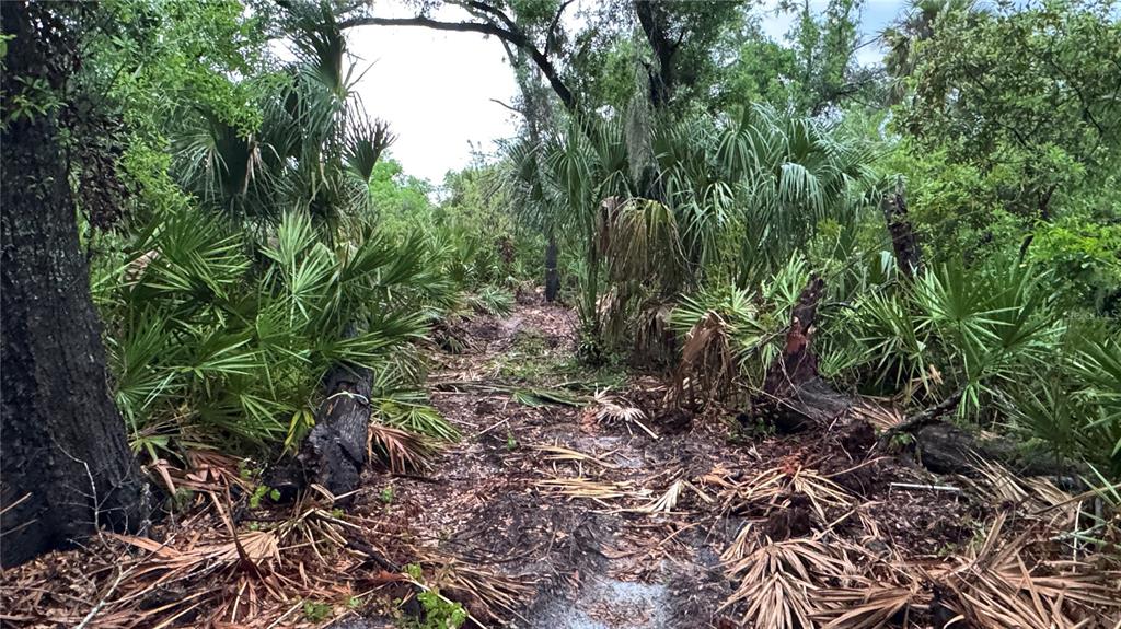 12817 Upper Manatee River Road Bradenton, FL 34212 - Photo 10 of 17 a view of a garden with plants