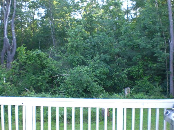 30 Coffey Hill Road Ware, MA 01082 - Photo 23 of 23