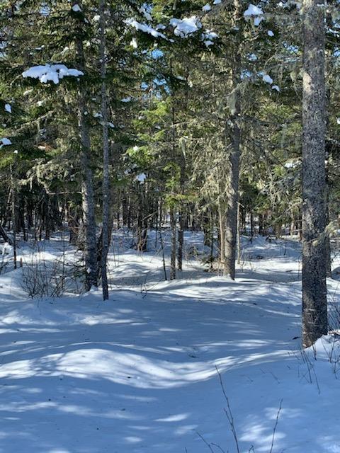 Mp2-lot19 Mahany Road Easton, ME 04740 - Photo 11 of 12 IMG_2065