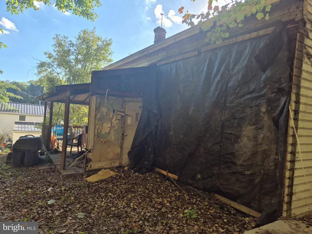 a view of a yard with a tree