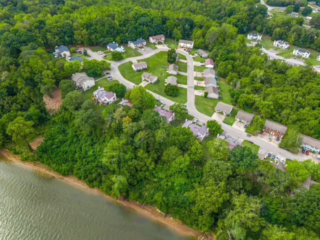a view of yard with green space