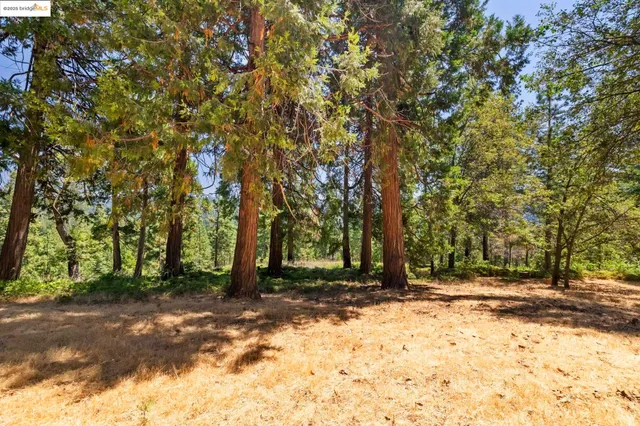 $509,000 | 24725 Prospector Drive, Mi Wuk Village, CA 95346