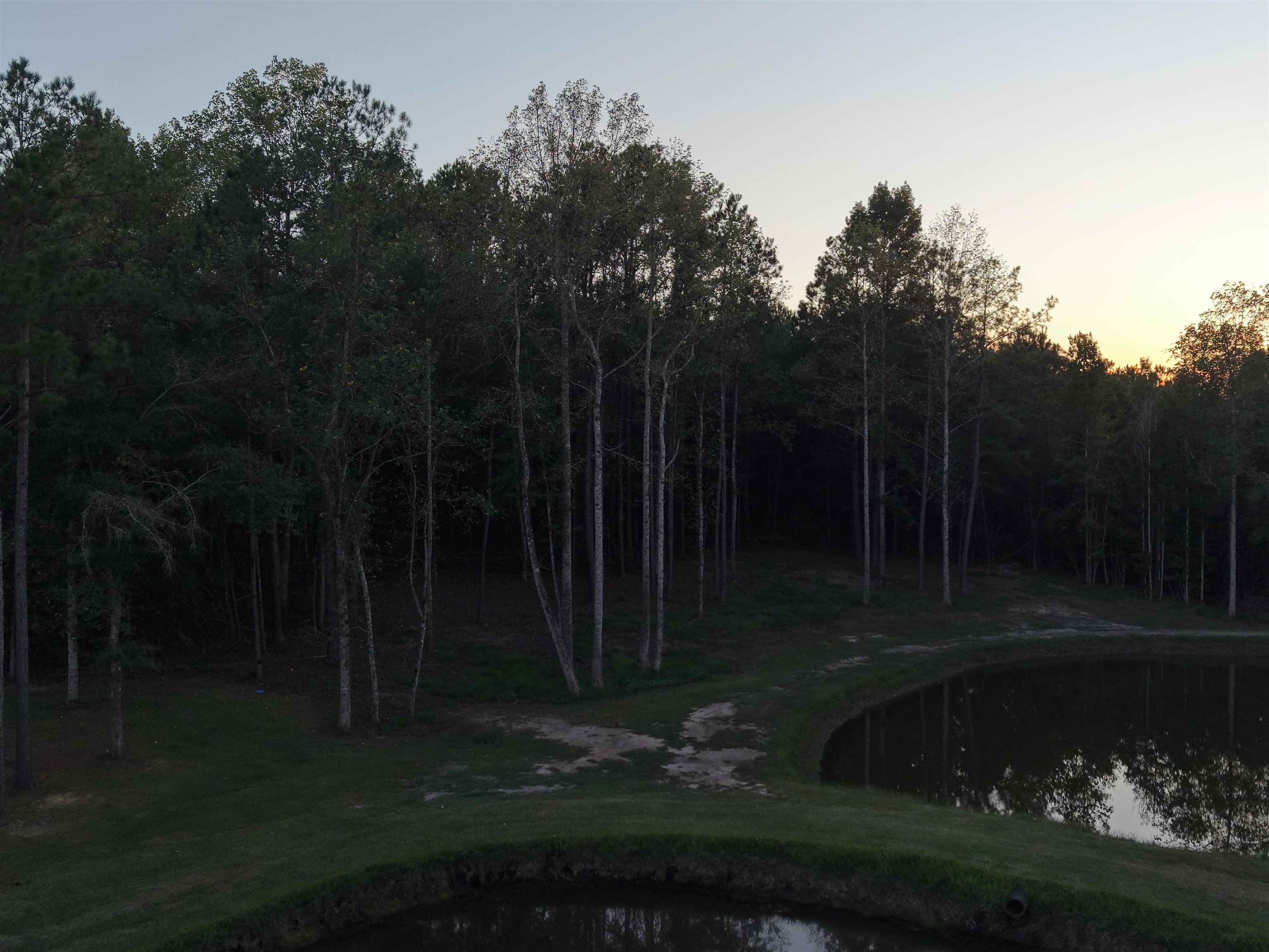 31769 Boston Road Dozier, AL 36028 - Photo 39 of 48 Gallery Image 39
