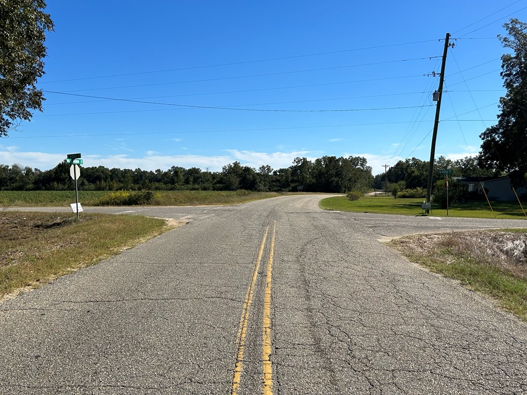 9.481-ac 9.481-ac Road Cottonwood, AL 36320 - Photo 5 of 19