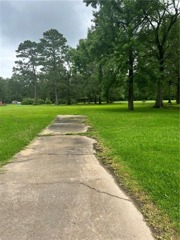Tbd Booner Miller Road Deville, LA 71328 - Photo 3 of 7