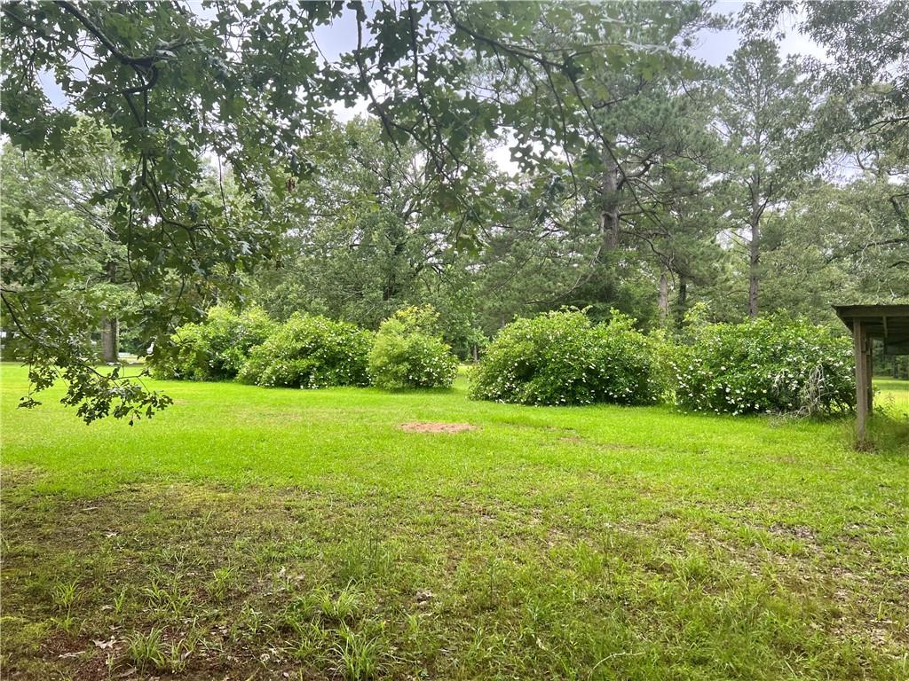 Tbd Booner Miller Road Deville, LA 71328 - Photo 4 of 7