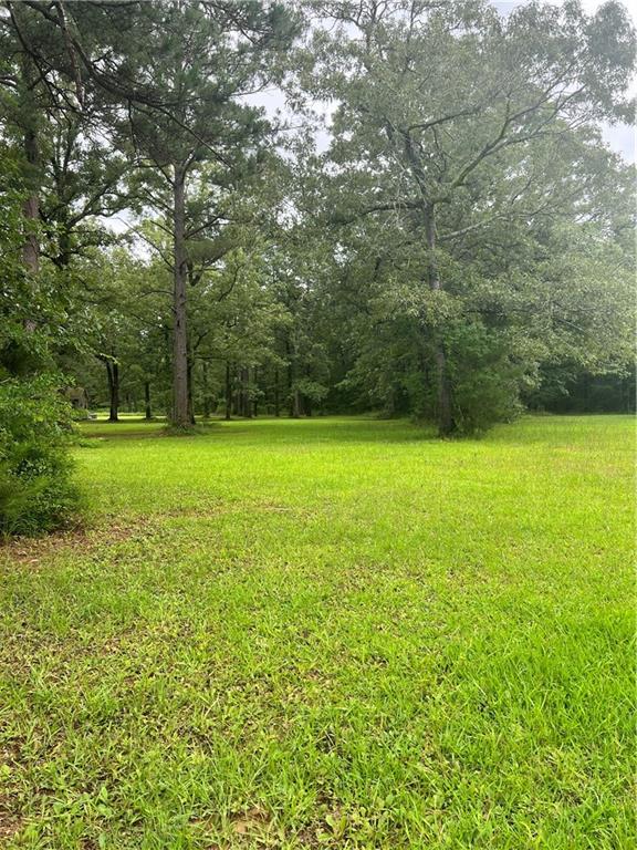 Tbd Booner Miller Road Deville, LA 71328 - Photo 7 of 7