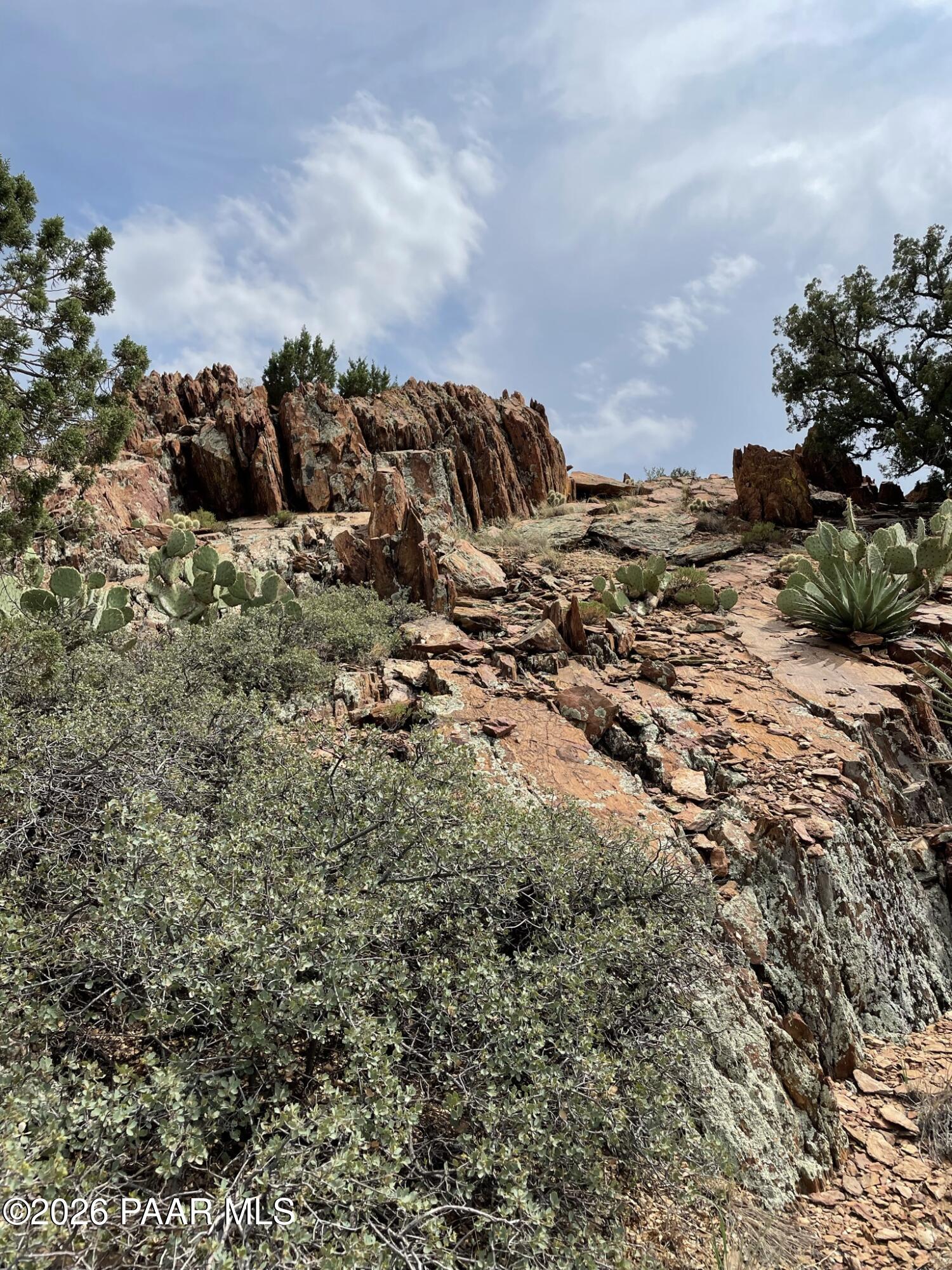 HILLTOP LANDSCAPE