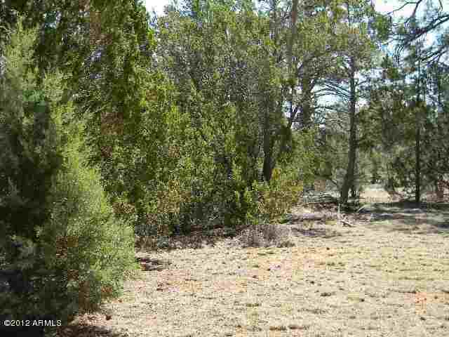 277 Overgaard Az 85933 Overgaard, AZ 85933 - Photo 2 of 8