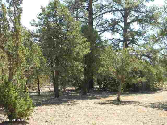 277 Overgaard Az 85933 Overgaard, AZ 85933 - Photo 3 of 8