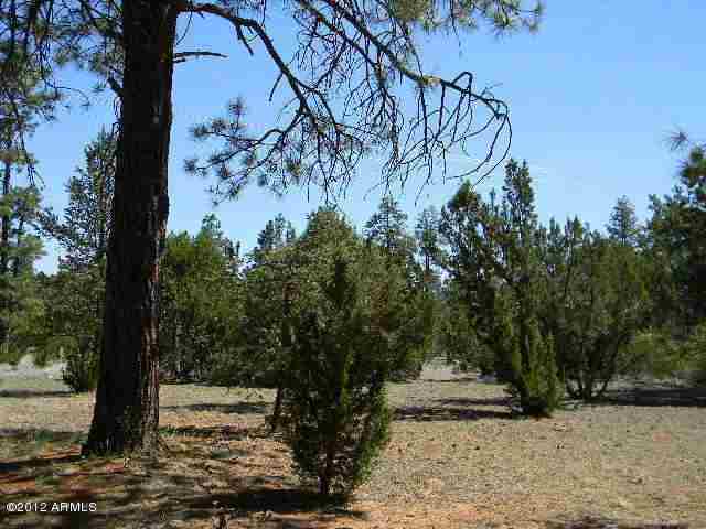 277 Overgaard Az 85933 Overgaard, AZ 85933 - Photo 4 of 8