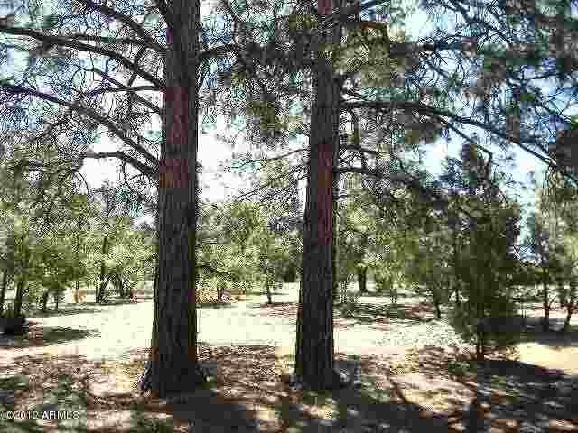 277 Overgaard Az 85933 Overgaard, AZ 85933 - Photo 5 of 8