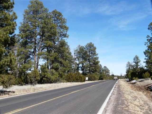 277 Overgaard Az 85933 Overgaard, AZ 85933 - Photo 6 of 8