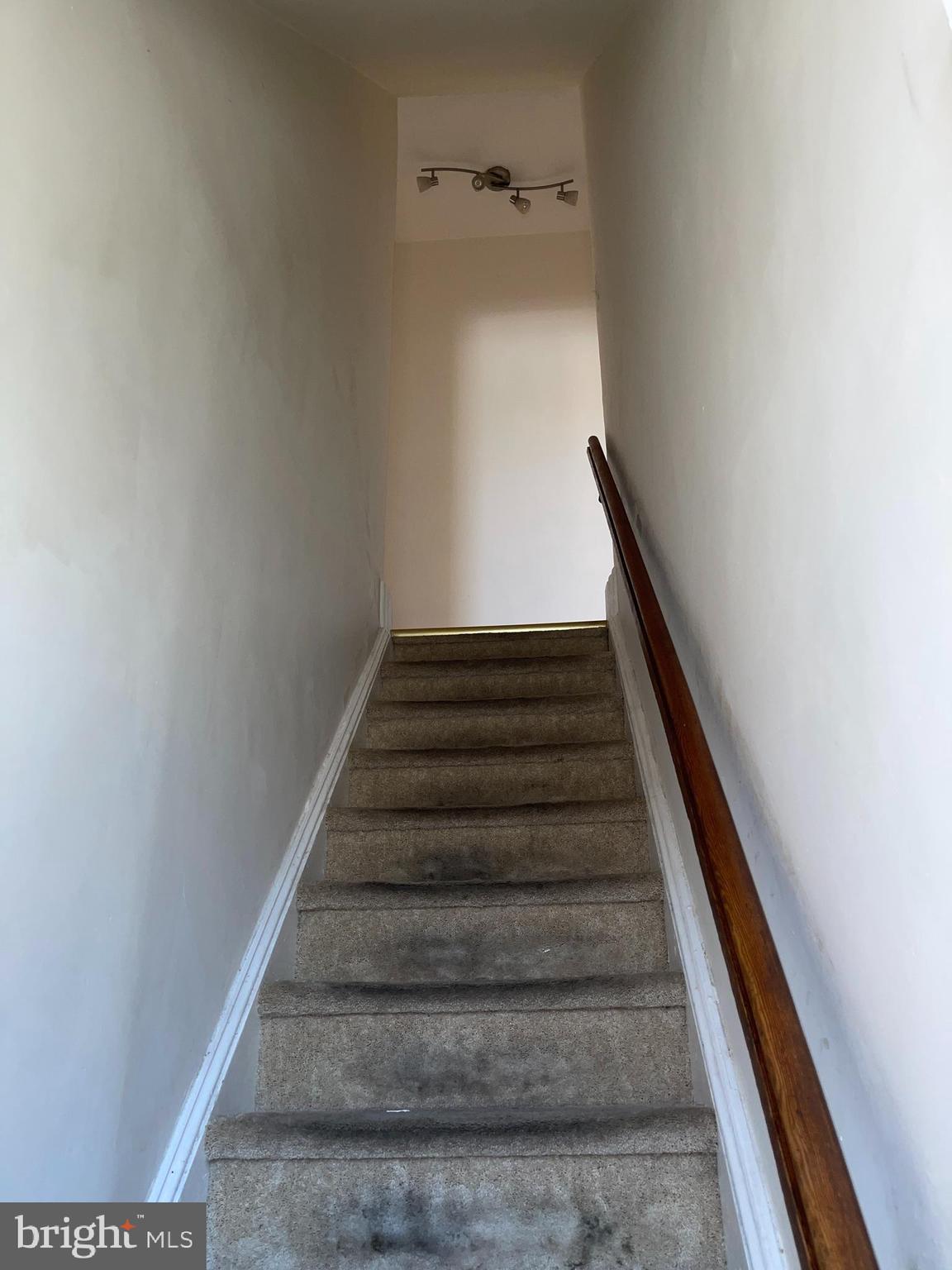 423 Righter Street Philadelphia, PA 19128 - Photo 8 of 59 Gallery Image 8