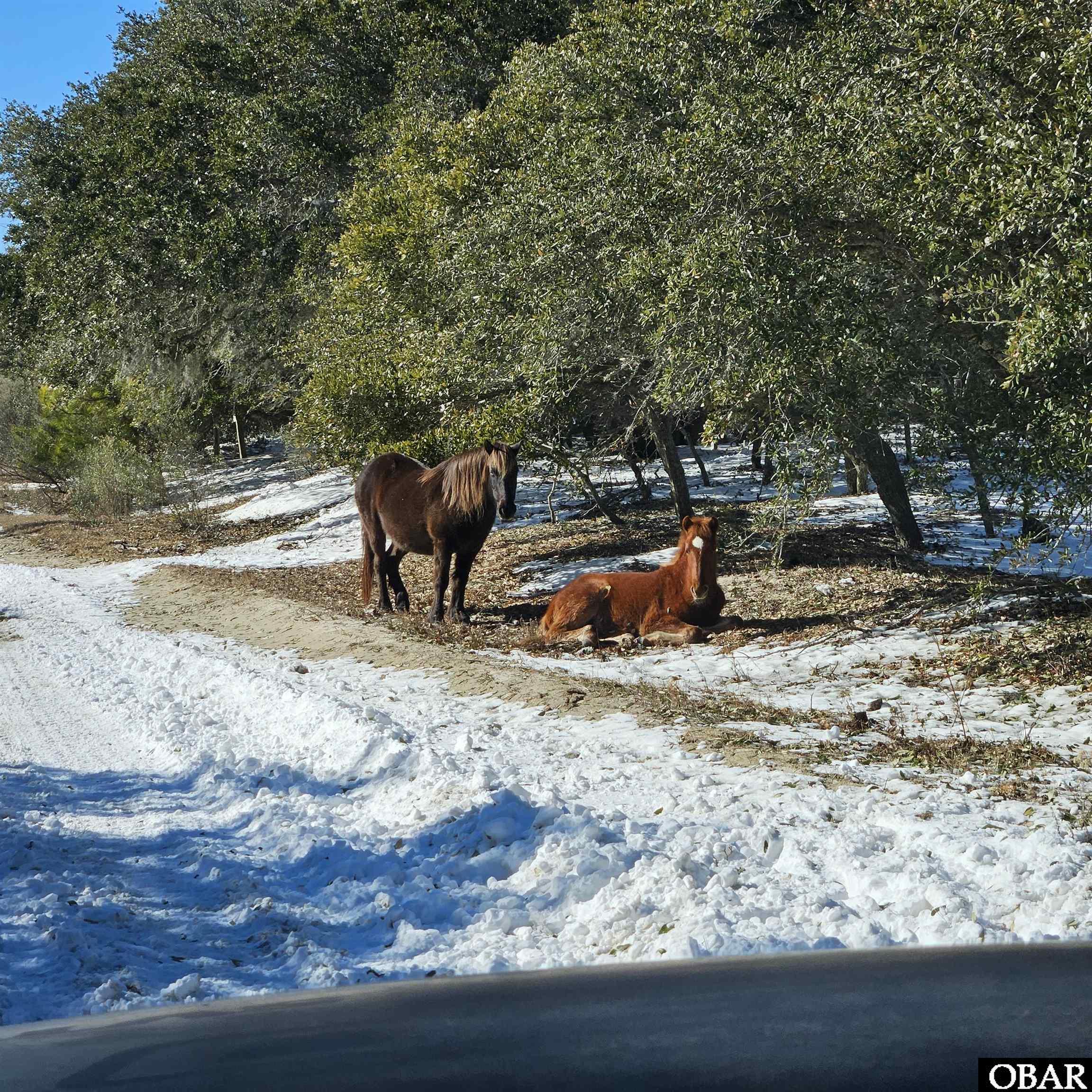 527 Swan Road Corolla, NC 27927 - Photo 50 of 50
