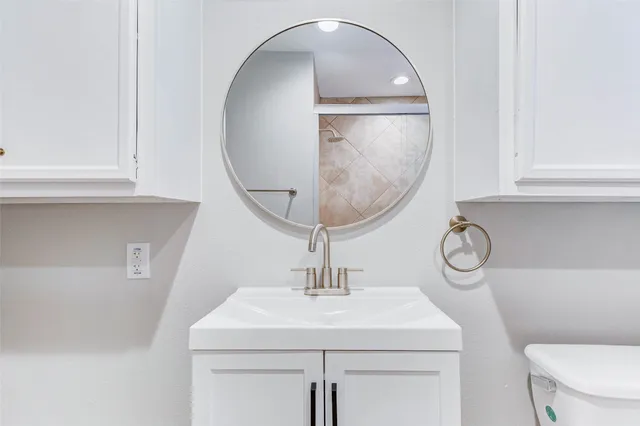 a bathroom with a sink a toilet and a mirror