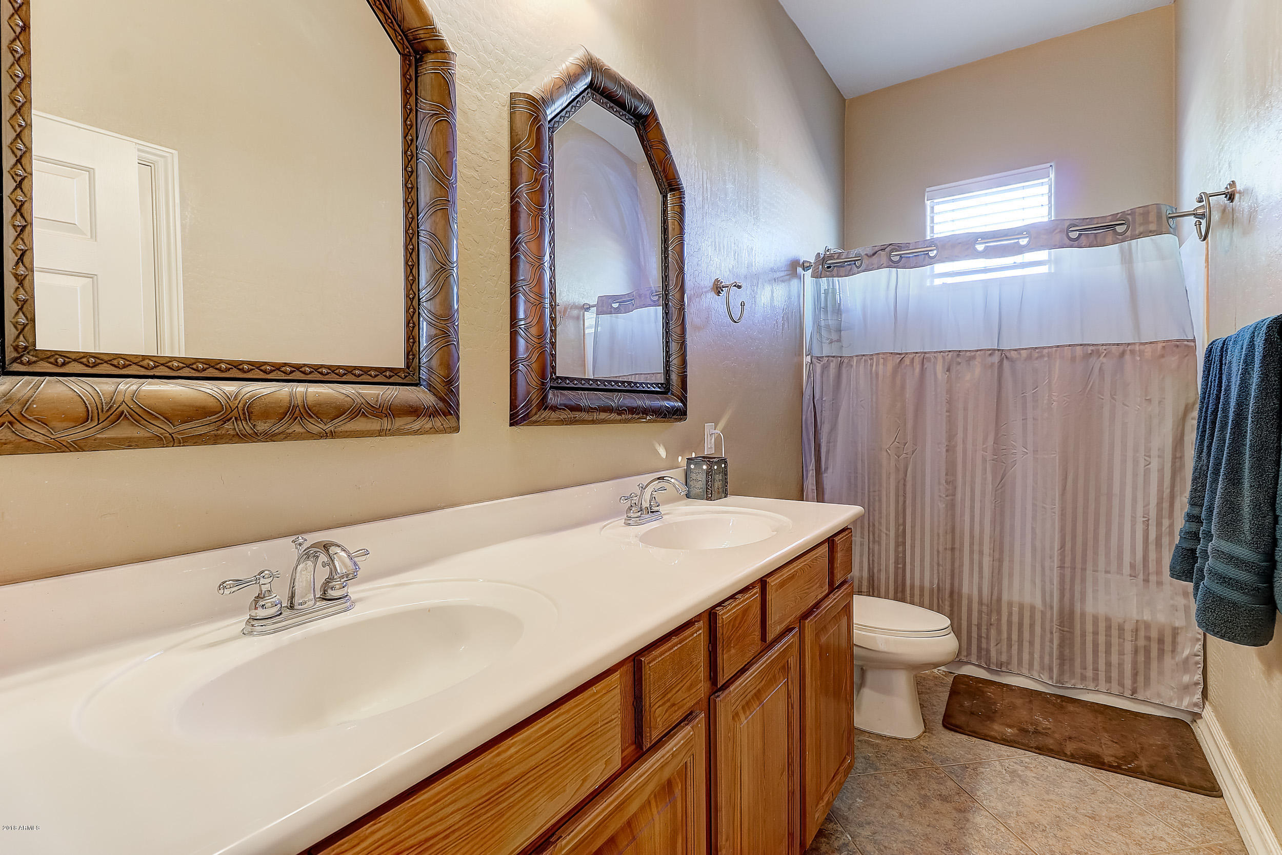 22850 West Sierra Ridge Way Wittmann, AZ 85361 - Photo 18 of 27 Main Bathroom