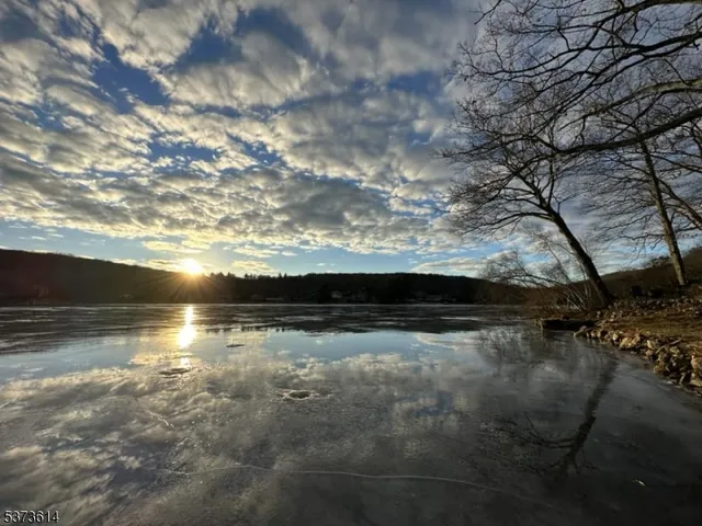 a view of outdoor space with garden