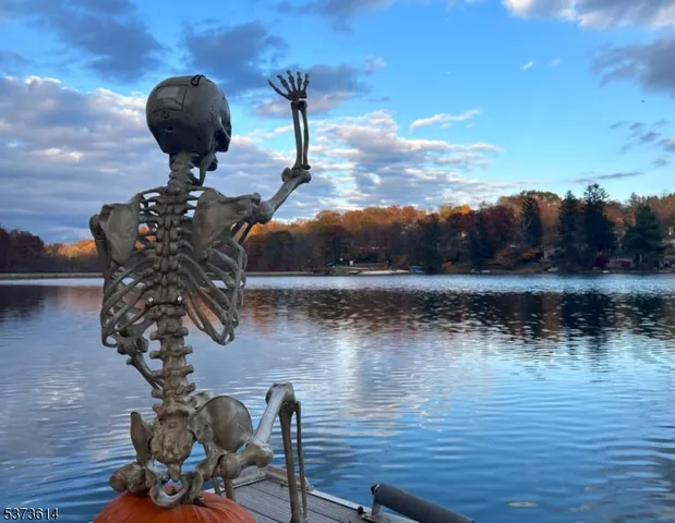 a vase of flowers sitting on a table