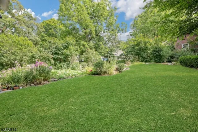 a view of yard with green space