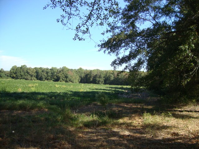 Murph Road Pauline, SC 29374 - Photo 3 of 5