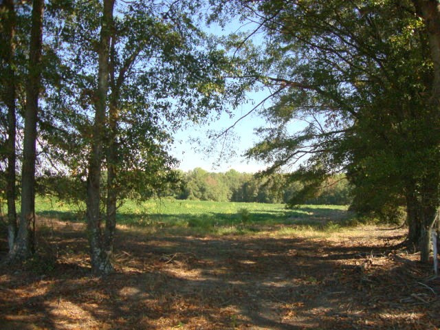 Murph Road Pauline, SC 29374 - Photo 4 of 5