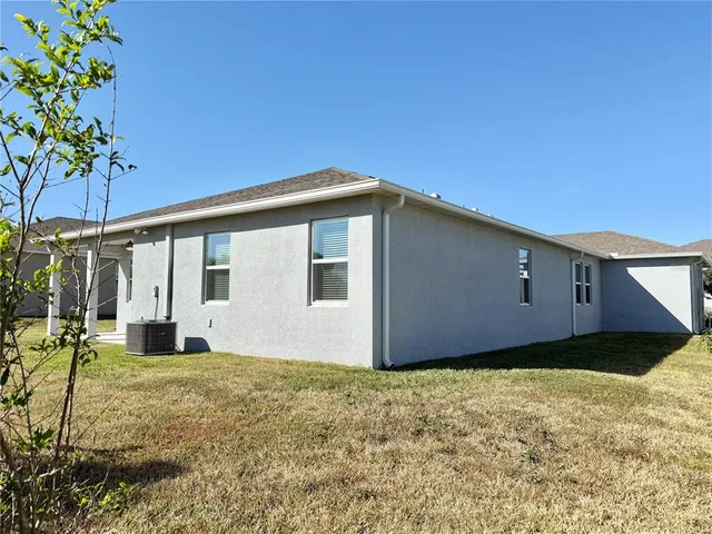 a view of potted plants and more wall