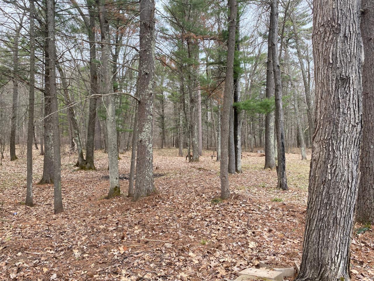 7727 Hixon Road Minocqua, WI 54548 - Photo 10 of 11 Gallery Image 10