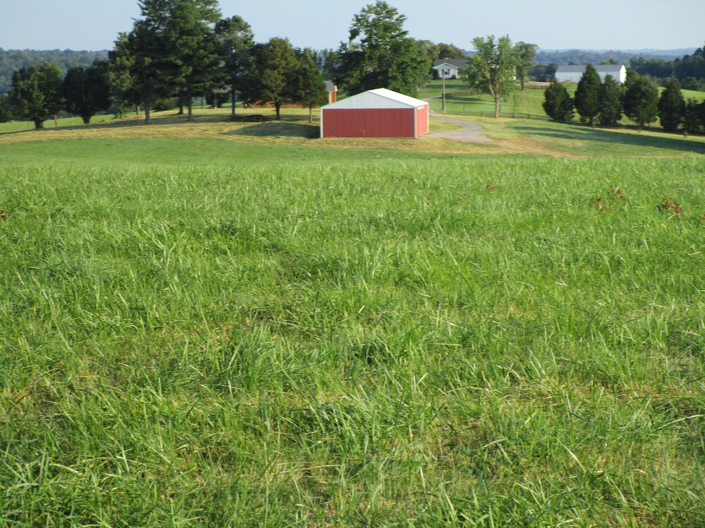 1171 Post-Hopewell Road Caneyville, KY 42721 - Photo 11 of 55 IMG_0142