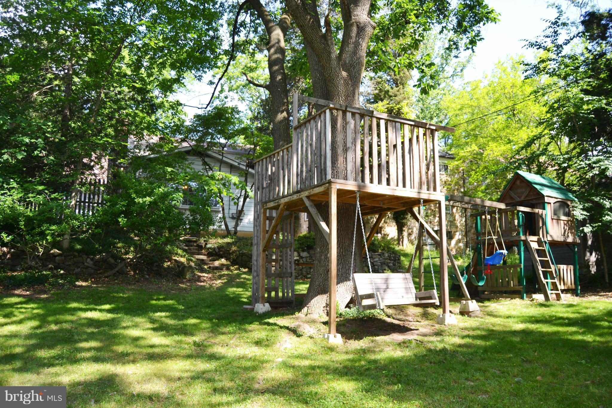 3647 Campfield Road Baltimore, MD 21207 - Photo 30 of 30 Tons of space to run around