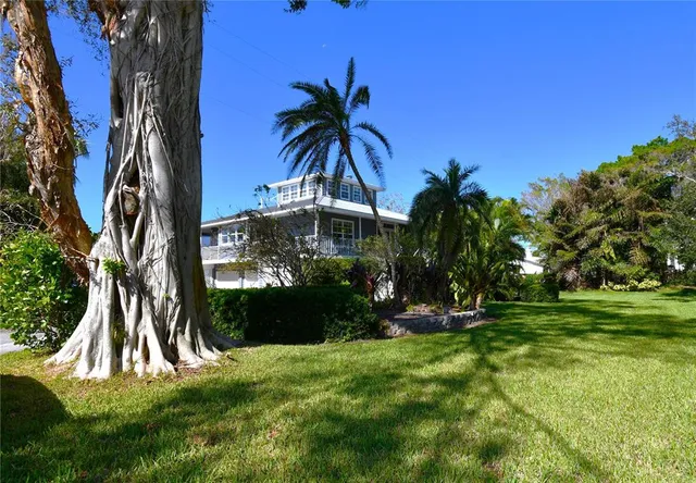 a view of a backyard