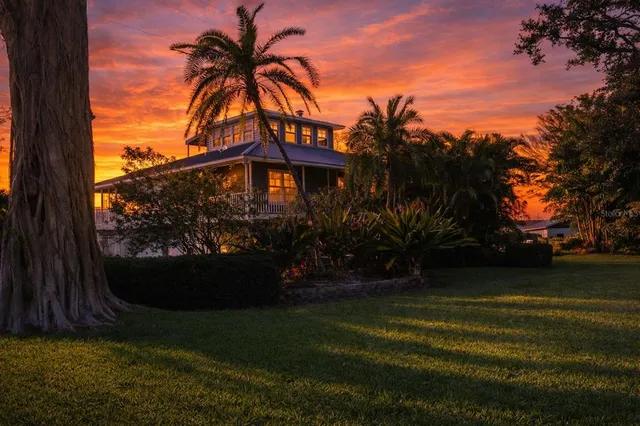 a view of a backyard