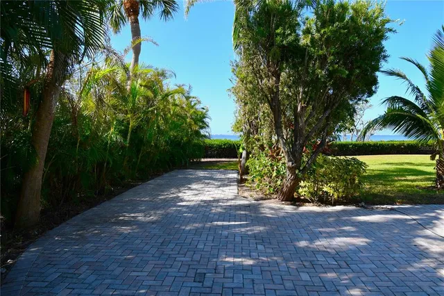a view of a yard with plants and trees