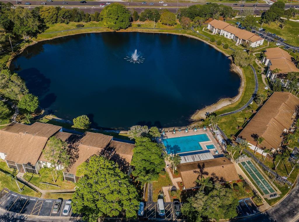 1870 Pine Ridge Way West, Unit G1 Palm Harbor, FL 34684 - Photo 76 of 77