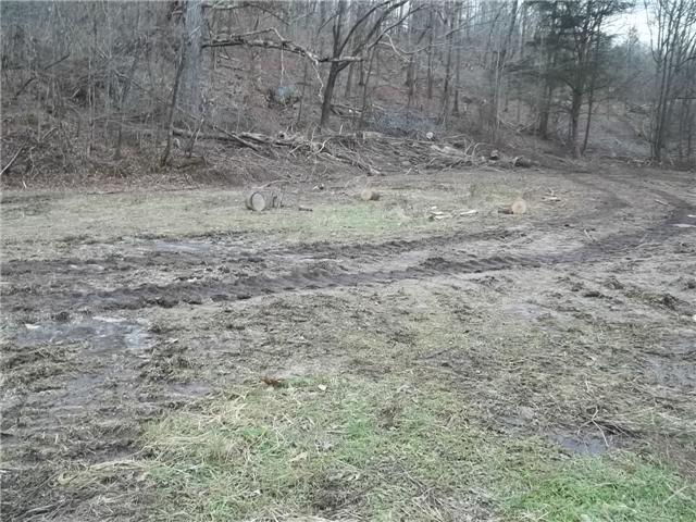 4045 Buffalo Road Hohenwald, TN 38462 - Photo 6 of 10 Gallery Image 6