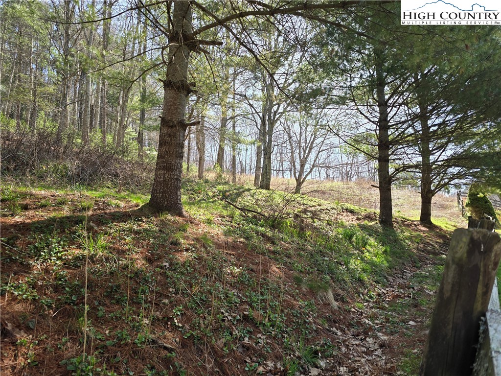 3160 Roundabout Road Creston, NC 28615 - Photo 37 of 50 a view of a yard with plants and trees
