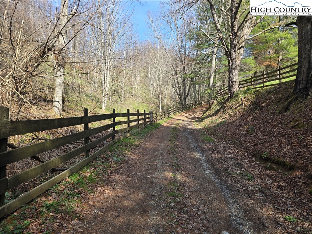 3160 Roundabout Road Creston, NC 28615 - Photo 38 of 50 a view of a yard with wooden fence