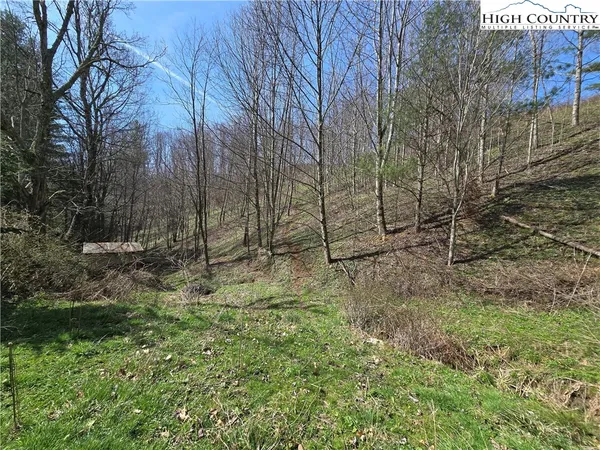 $280,000 | 3160 Roundabout Road, Creston, NC 28615