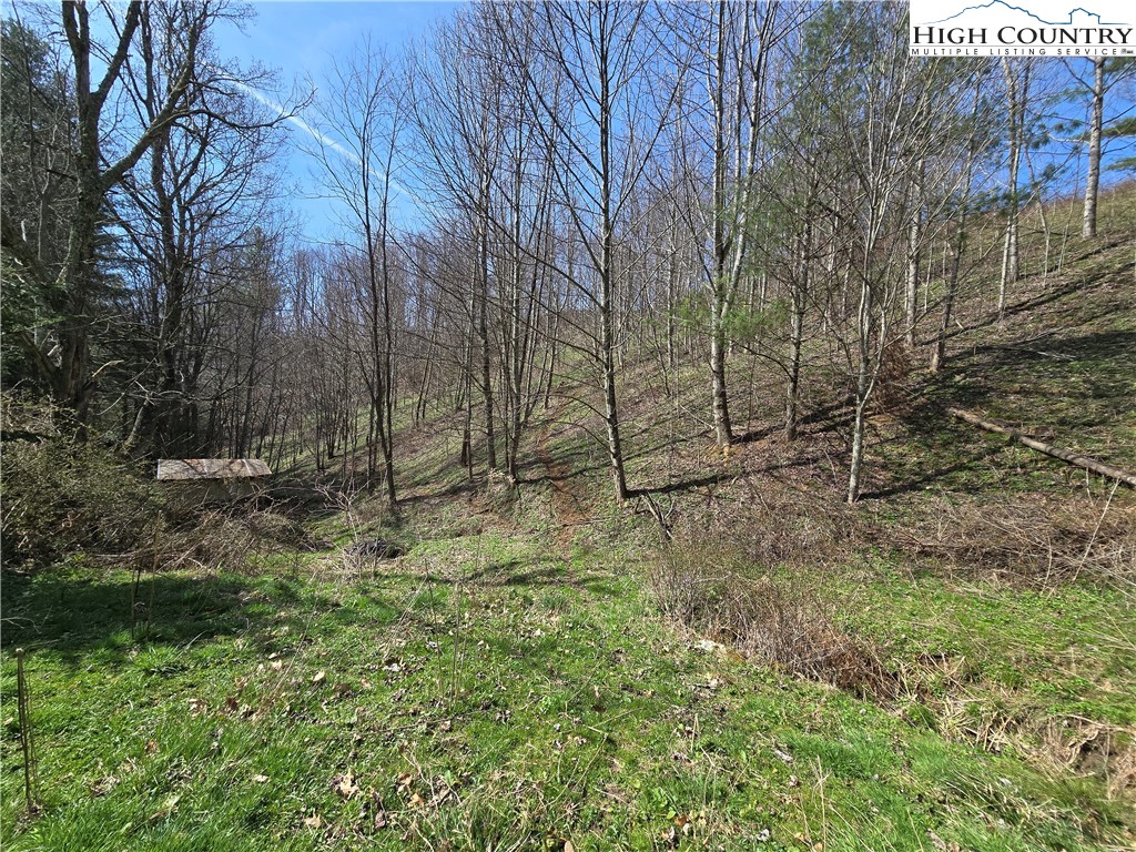 3160 Roundabout Road Creston, NC 28615 - Photo 40 of 50 a view of a backyard