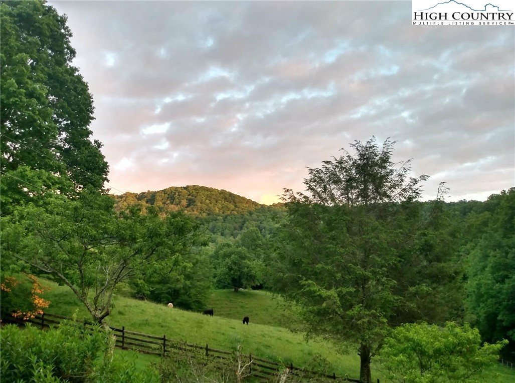 3160 Roundabout Road Creston, NC 28615 - Photo 49 of 50 a view of a green field
