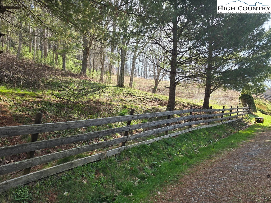 3160 Roundabout Road Creston, NC 28615 - Photo 10 of 50 a view of yard with tree