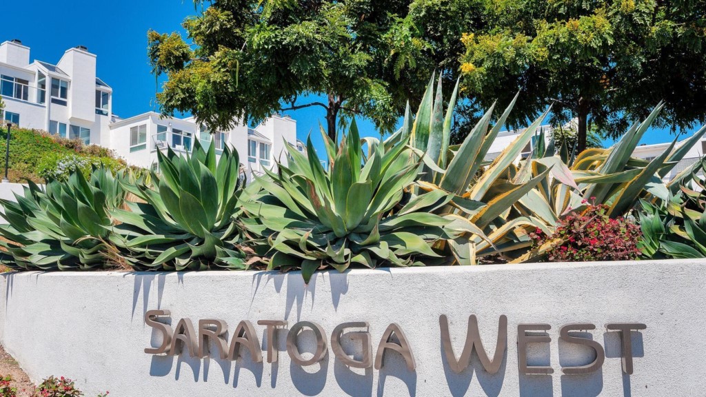 365 Longden Lane Solana Beach, CA 92075 - Photo 23 of 26 a view of a flower in a garden